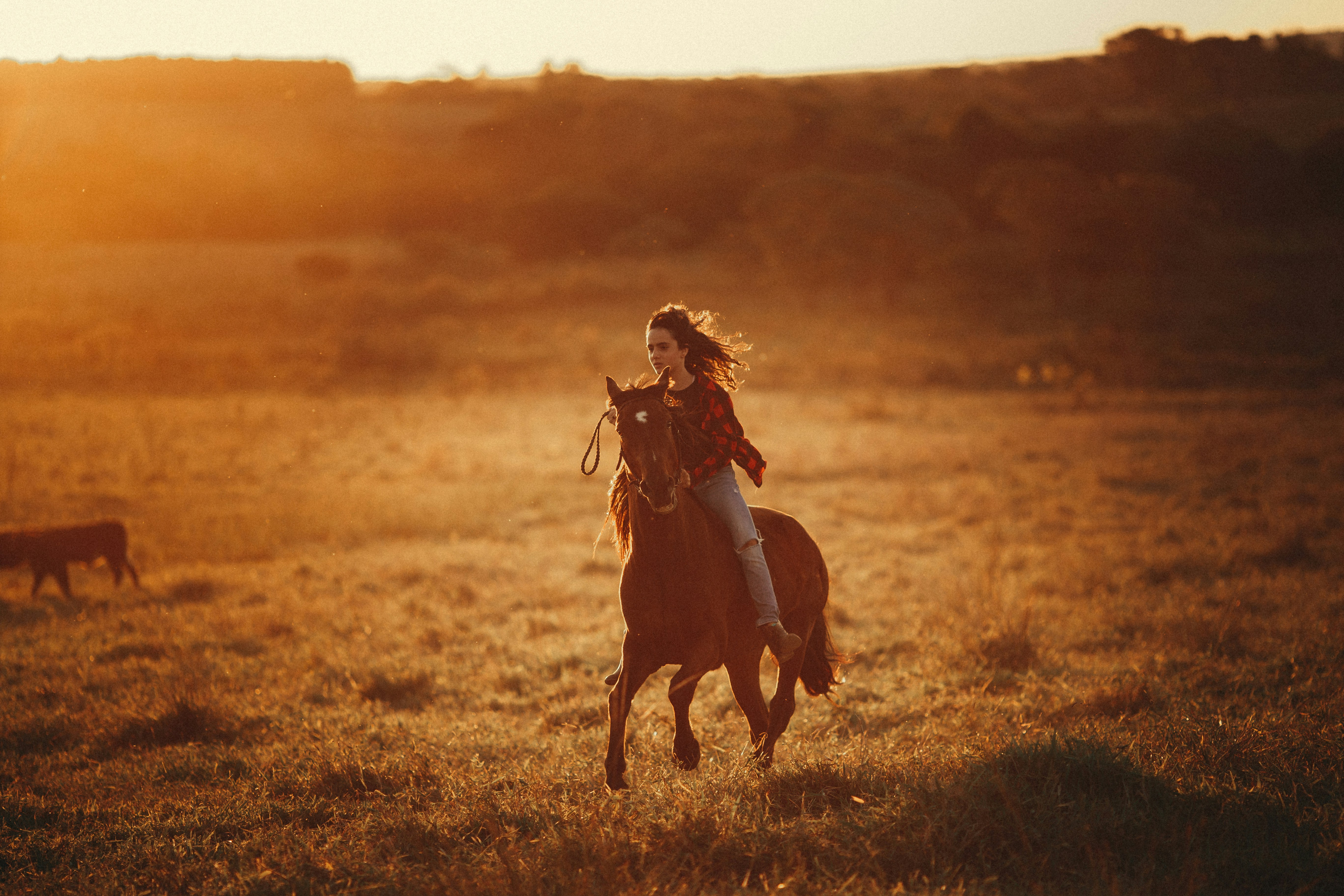 Photo by helenalopesph