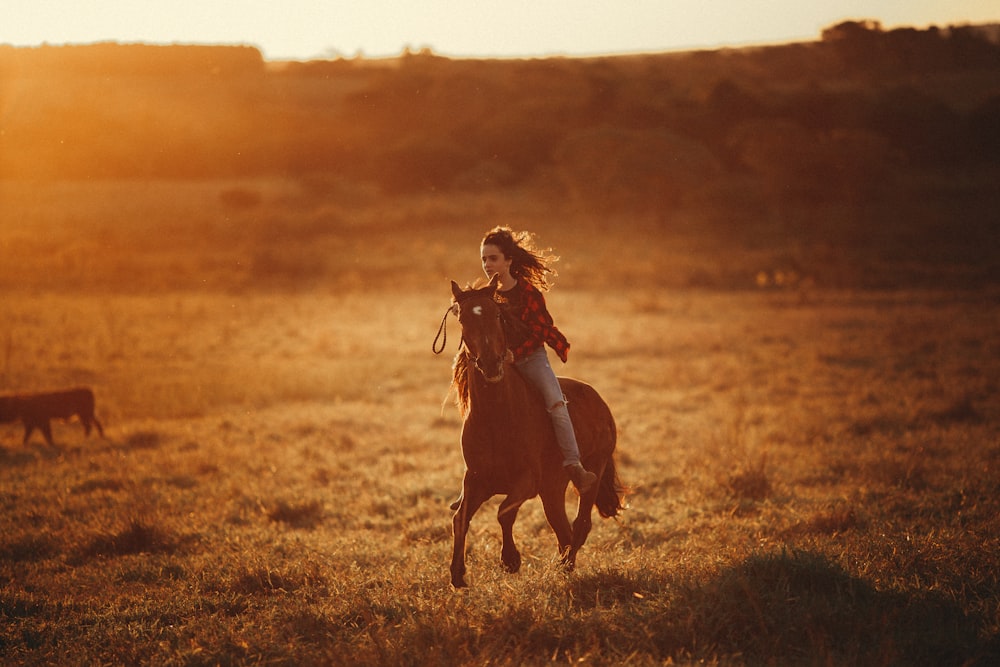 woman in brown coat riding brown horse on brown grass field during daytime