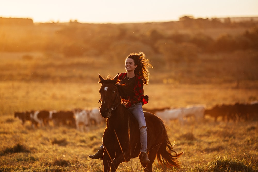 woman in red long sleeve shirt riding brown horse during daytime