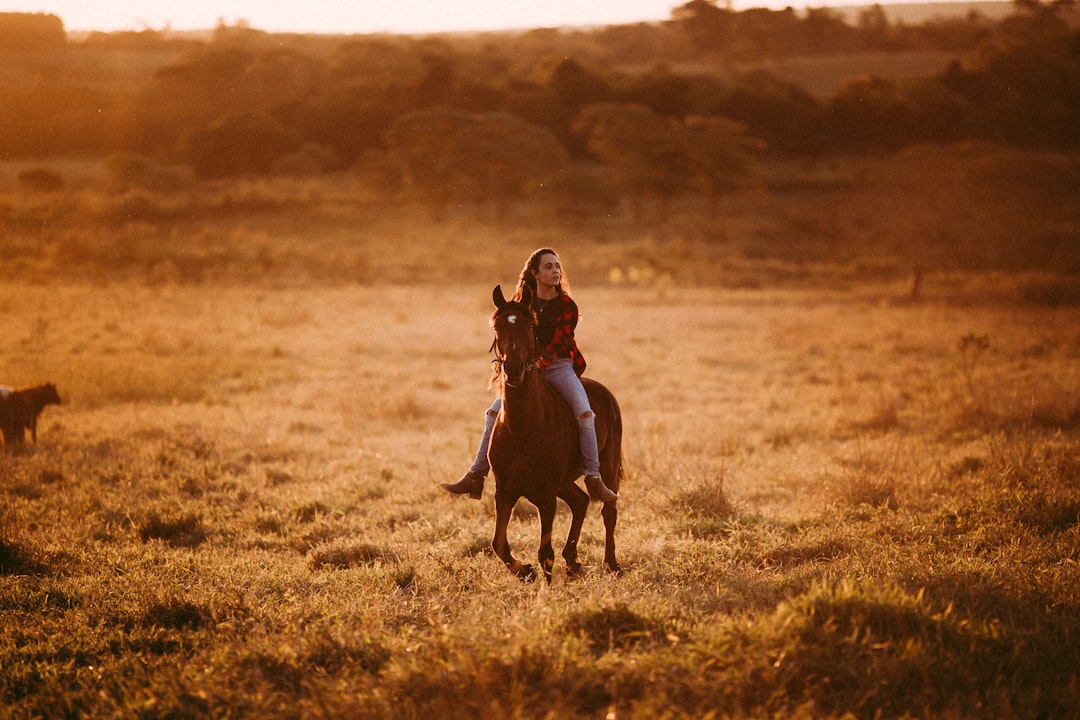 man riding horse on brown grass field during daytime