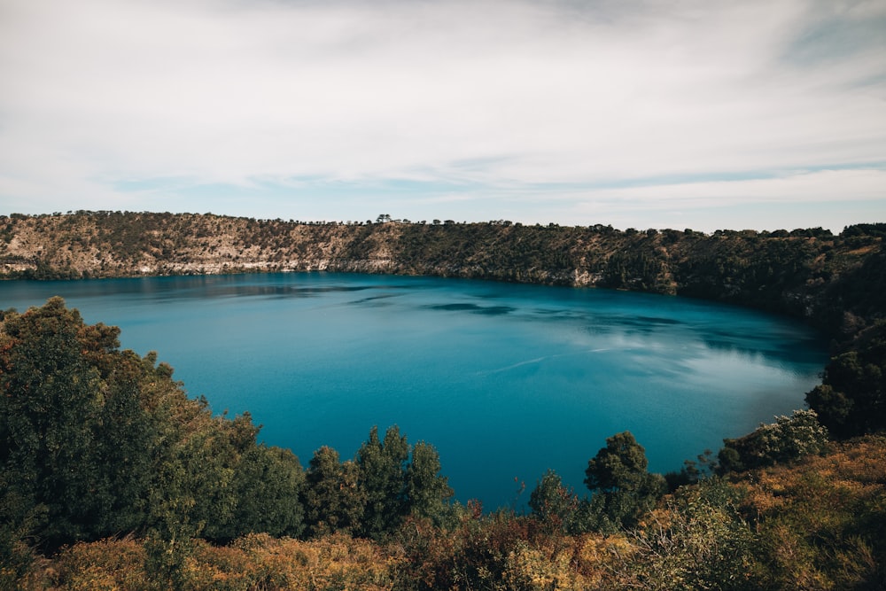 blue lake surrounded by trees under blue sky during daytime