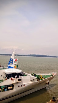 A large white ship with blue accents sits on a body of water. Several people in uniforms are visible on the deck of the vessel. The sky is overcast with shades of grey and there is a distant landmass across the water.