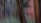 Blurred vertical motion effect in a forest scene with hints of tree trunks. The background includes a mix of green and brown hues, suggesting foliage and bark, while the overall image appears abstract due to the camera movement.