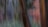 Blurred vertical motion effect in a forest scene with hints of tree trunks. The background includes a mix of green and brown hues, suggesting foliage and bark, while the overall image appears abstract due to the camera movement.