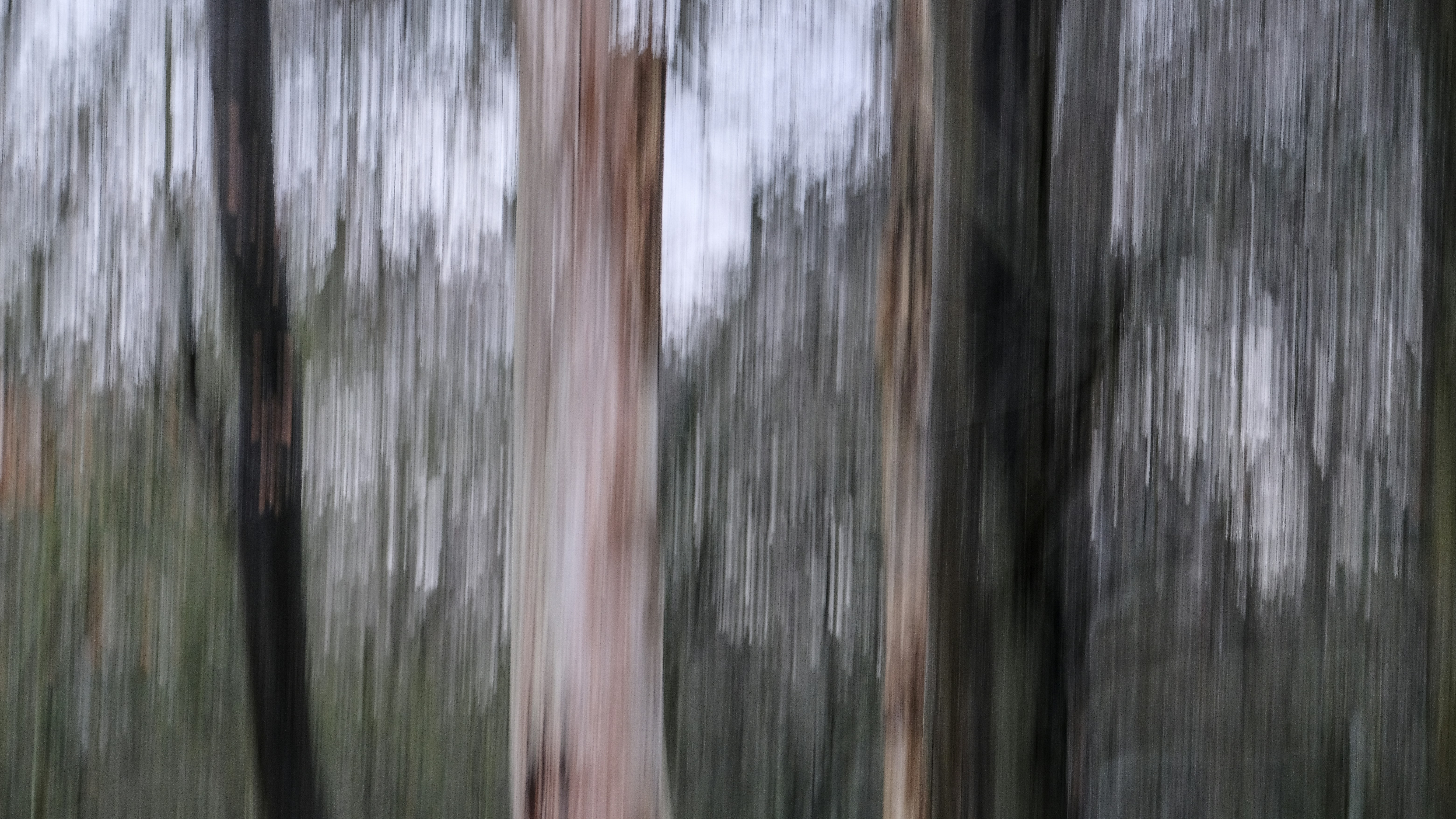 Photo by grievek1610begur