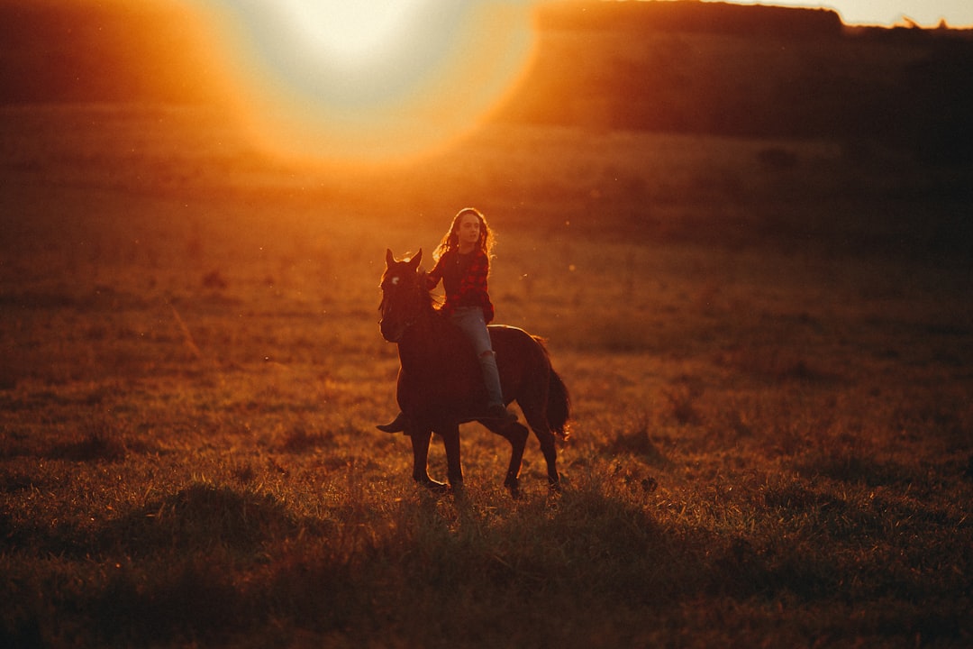 silhouette of 2 women sitting on brown horse during sunset