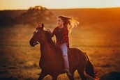 Happy rider with horse in an open field during sunset.