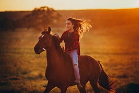 A person with long hair rides a brown horse across a grassy field during sunset. The rider wears a red and black checkered shirt and ripped jeans, capturing a sense of adventure. The warm golden light creates a serene and dynamic atmosphere with dramatic shadows.