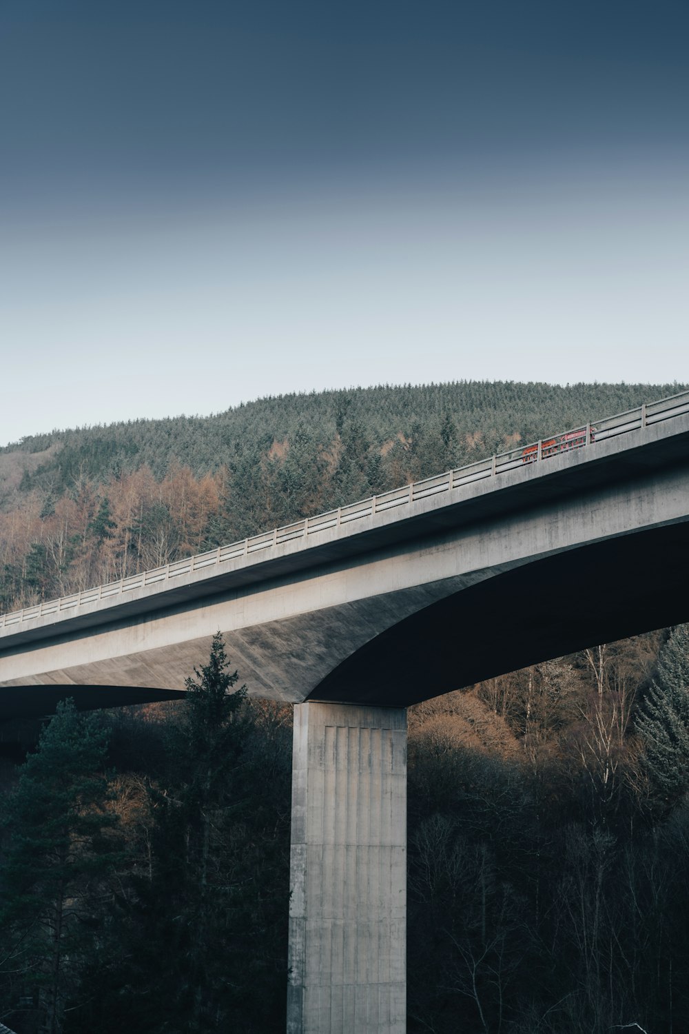 white bridge over green trees during daytime