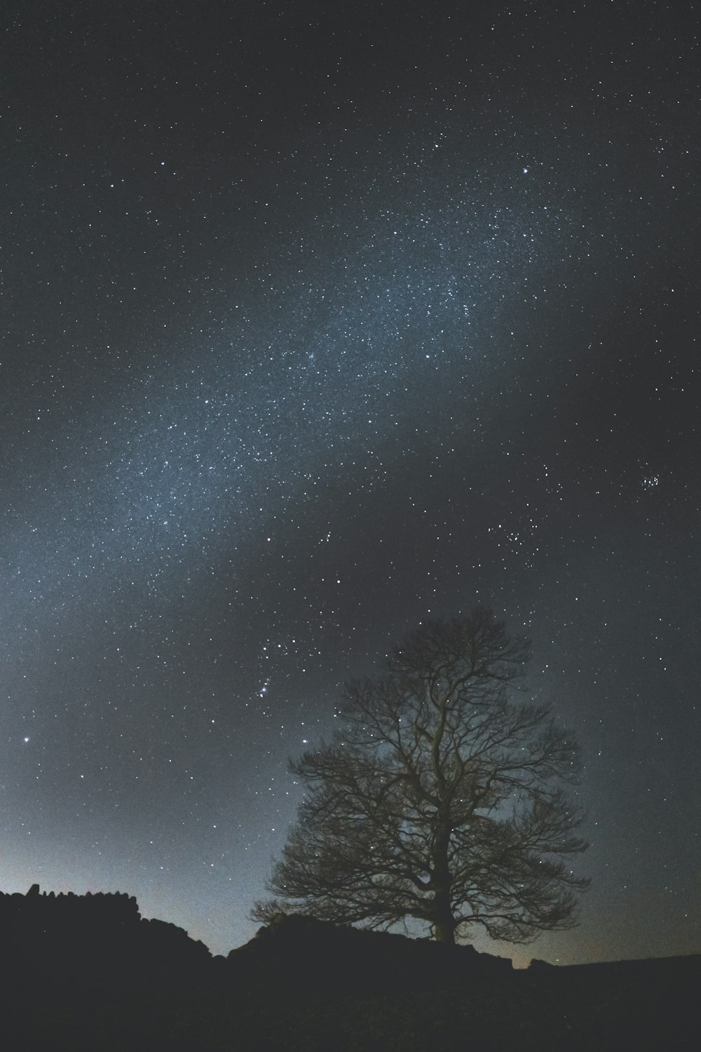 green tree under blue sky during night time