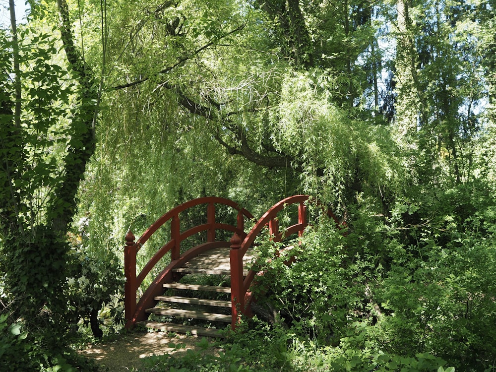 red wooden bench surrounded by green trees during daytime