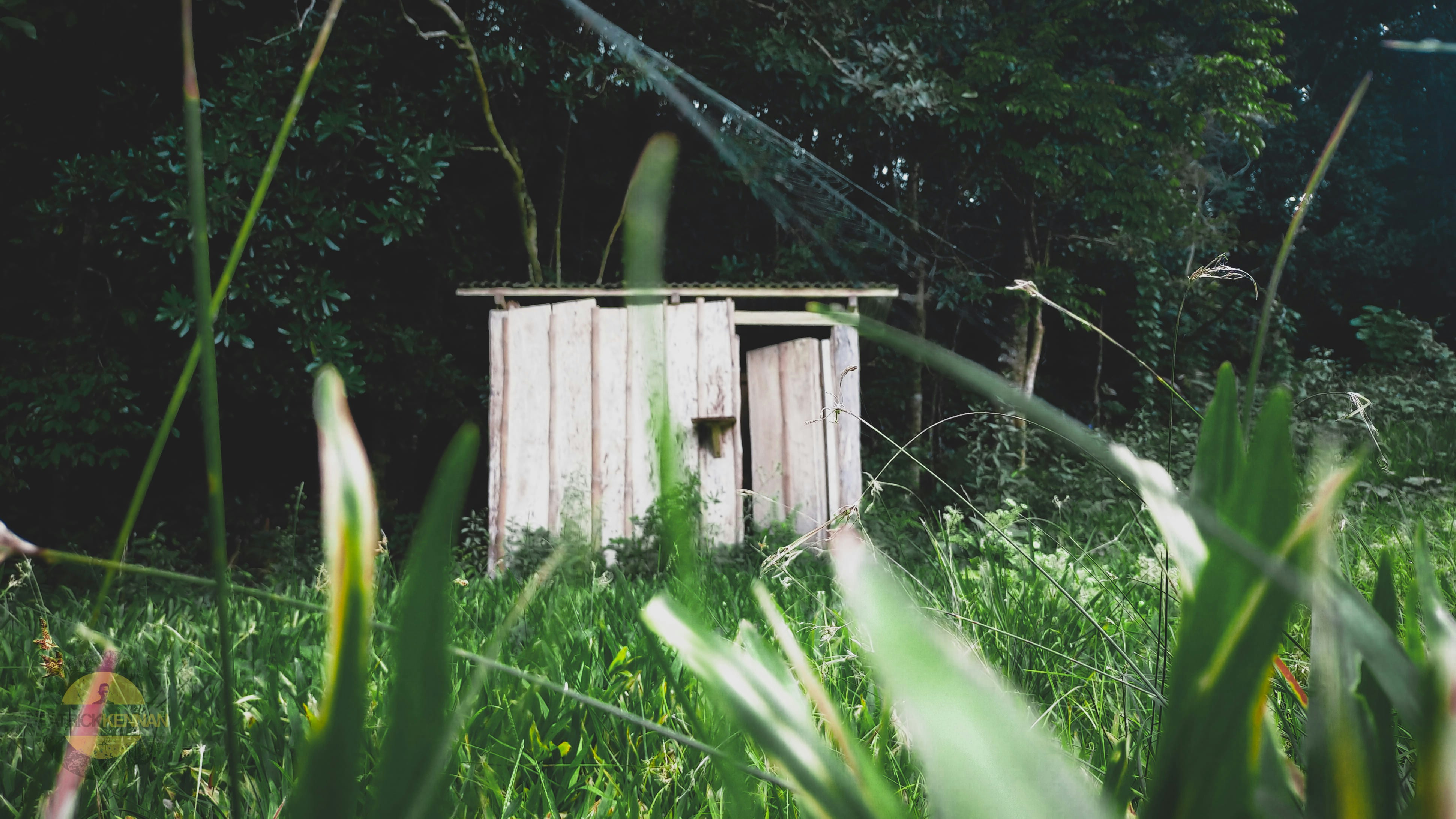 Photo by piercethekennan