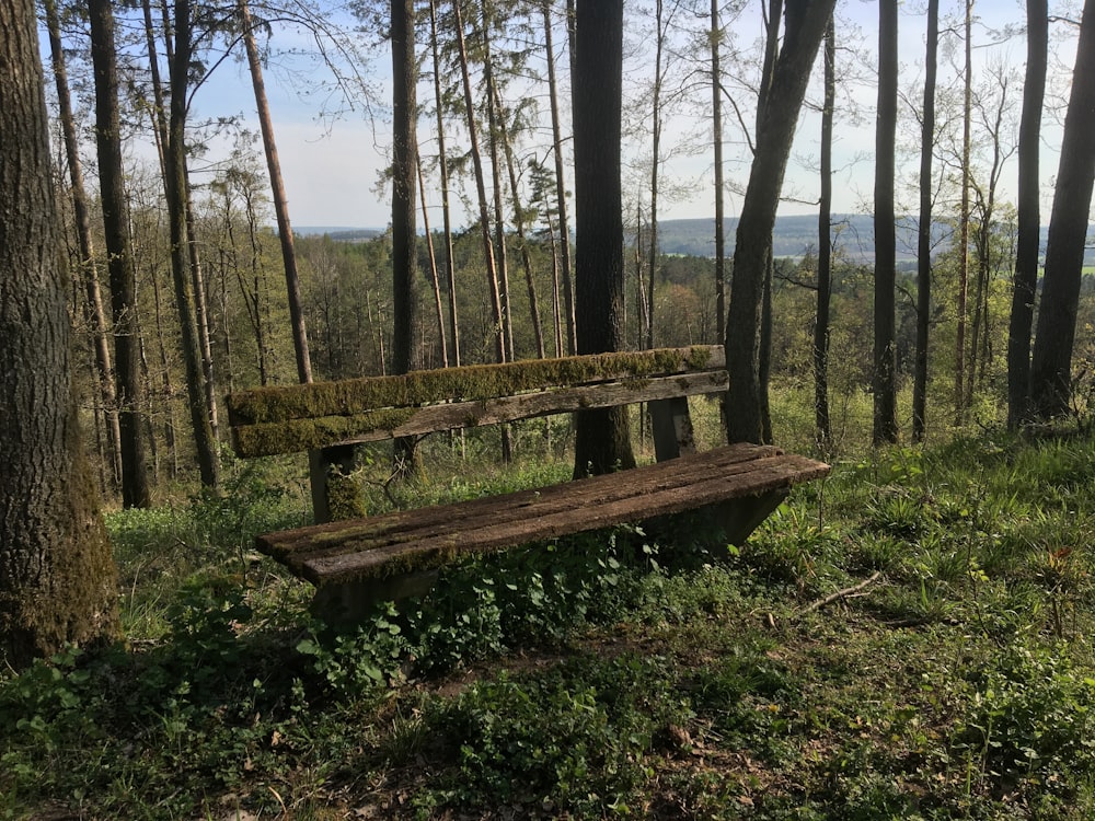 braune Holzbank auf grünem Rasenfeld, tagsüber von Bäumen umgeben