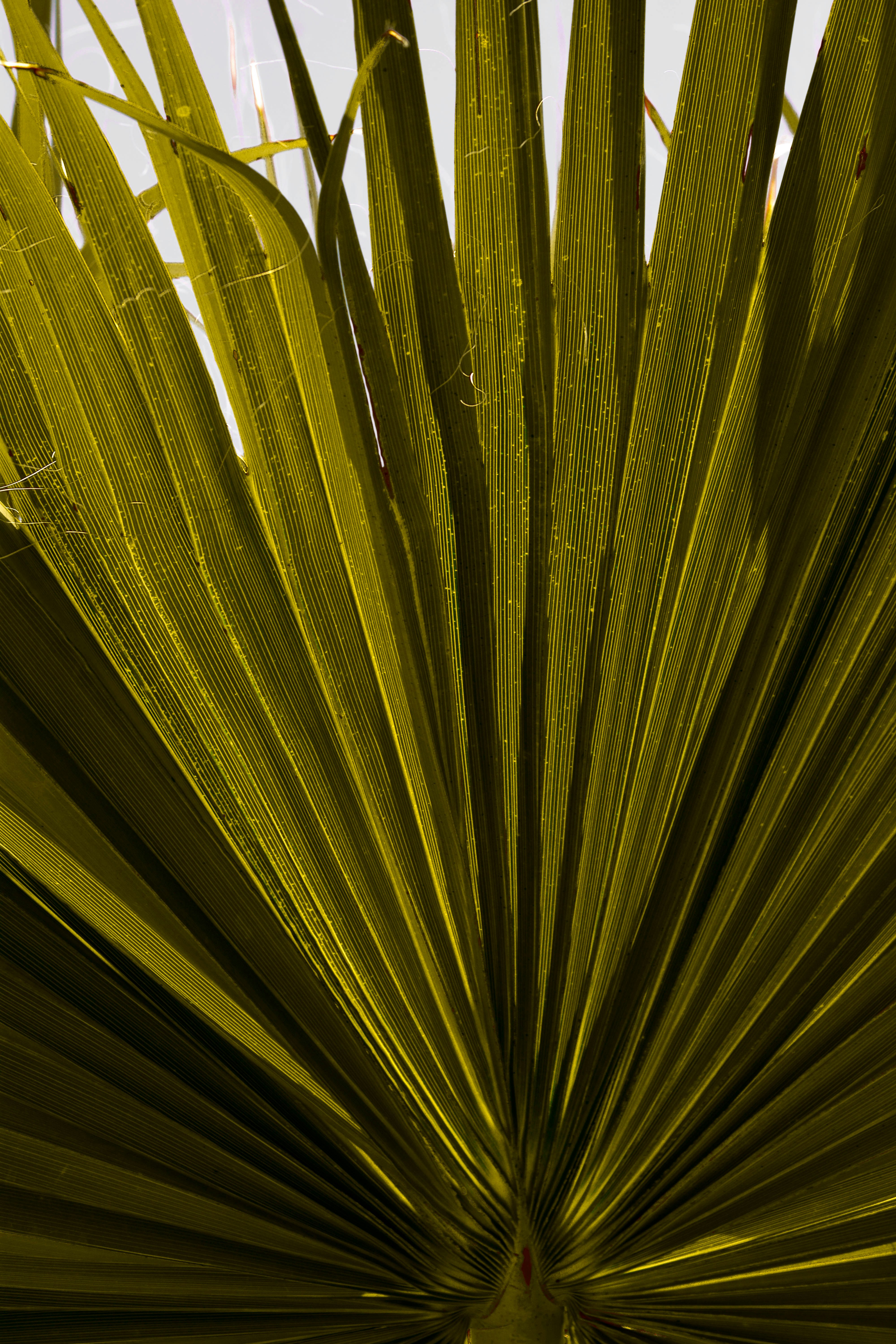 yellow and brown striped textile