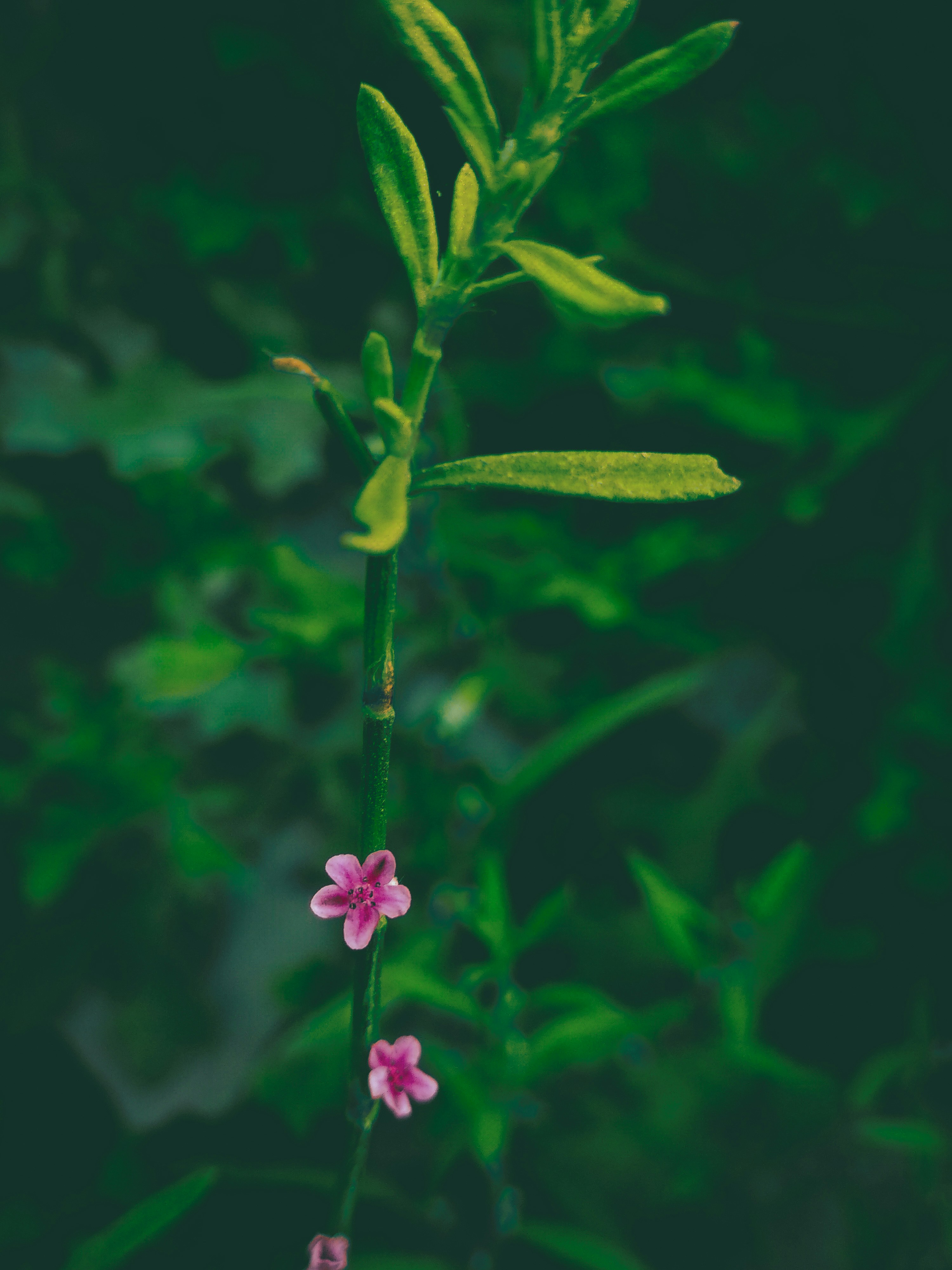 Photo by sumitbanerjee