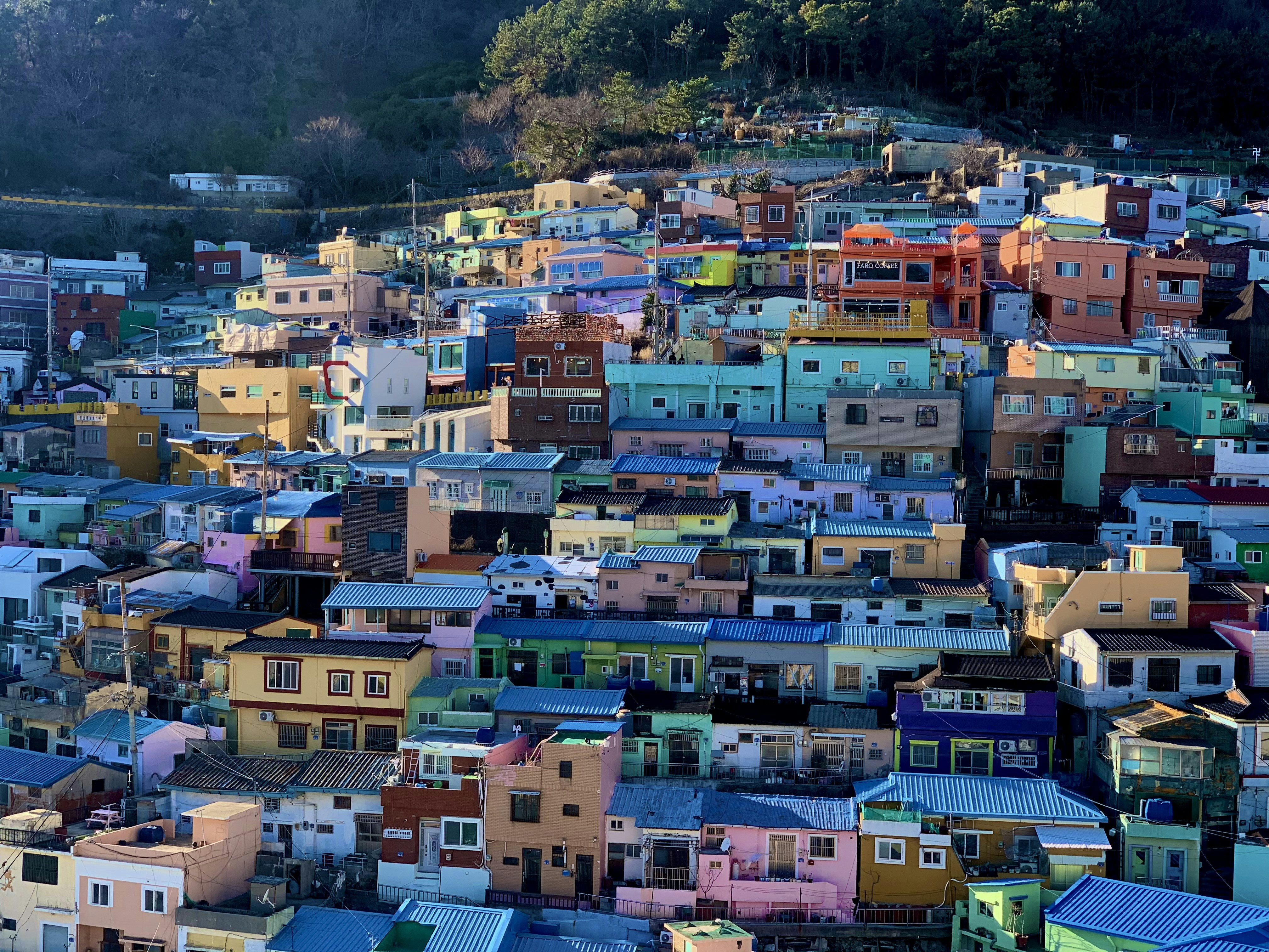 aerial view of city during daytime