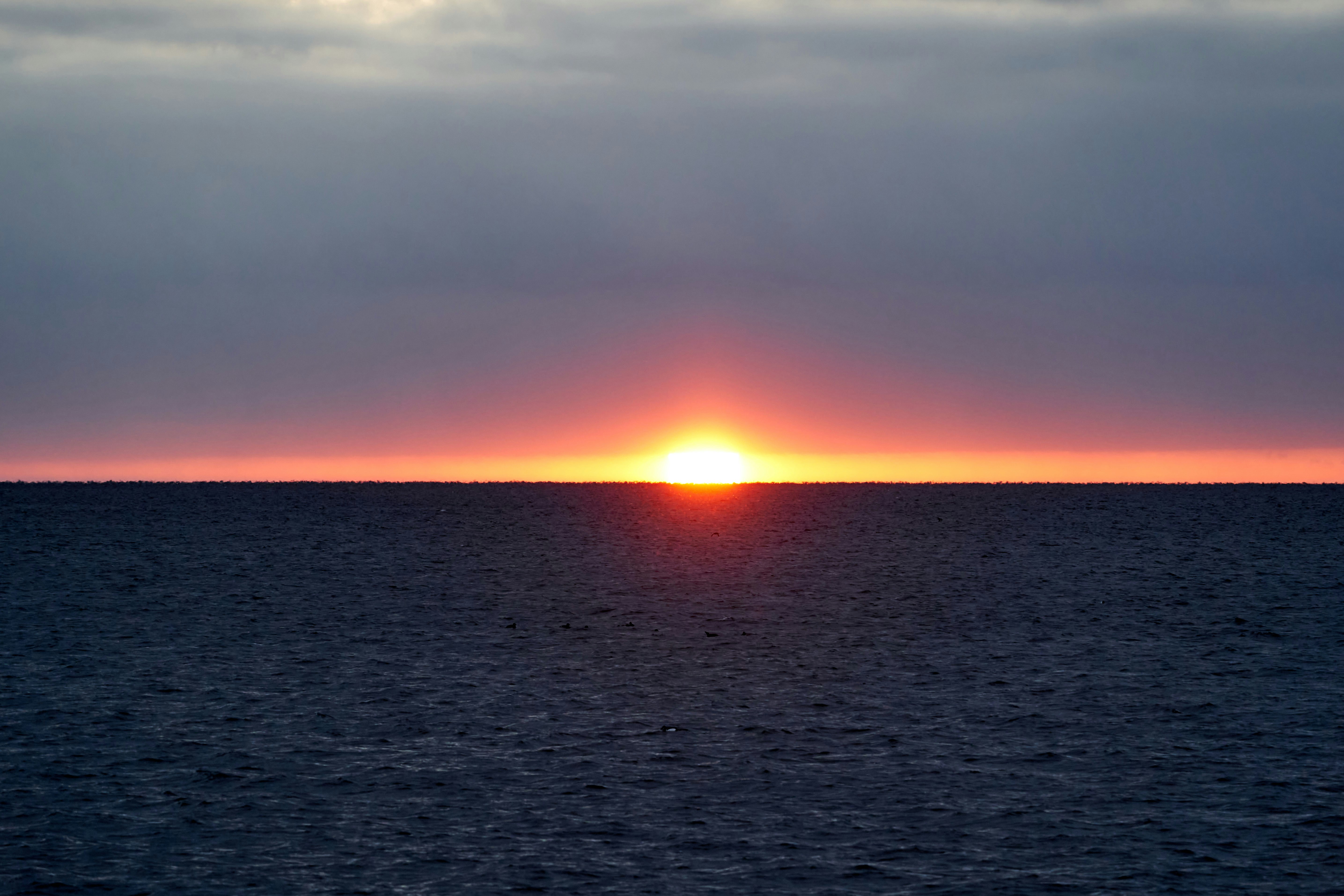 Photo by wolfgang_hasselmann