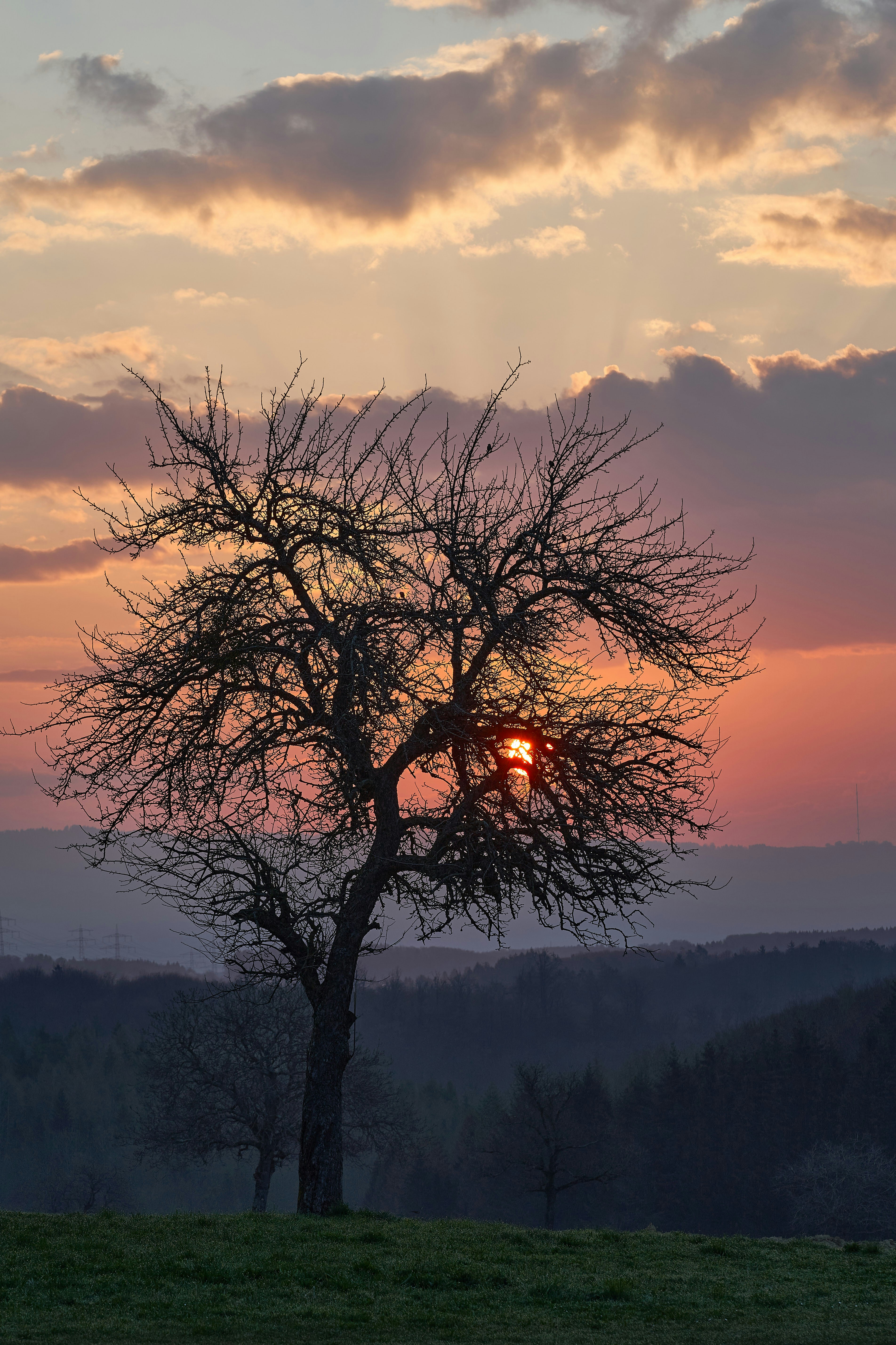 Photo by wolfgang_hasselmann