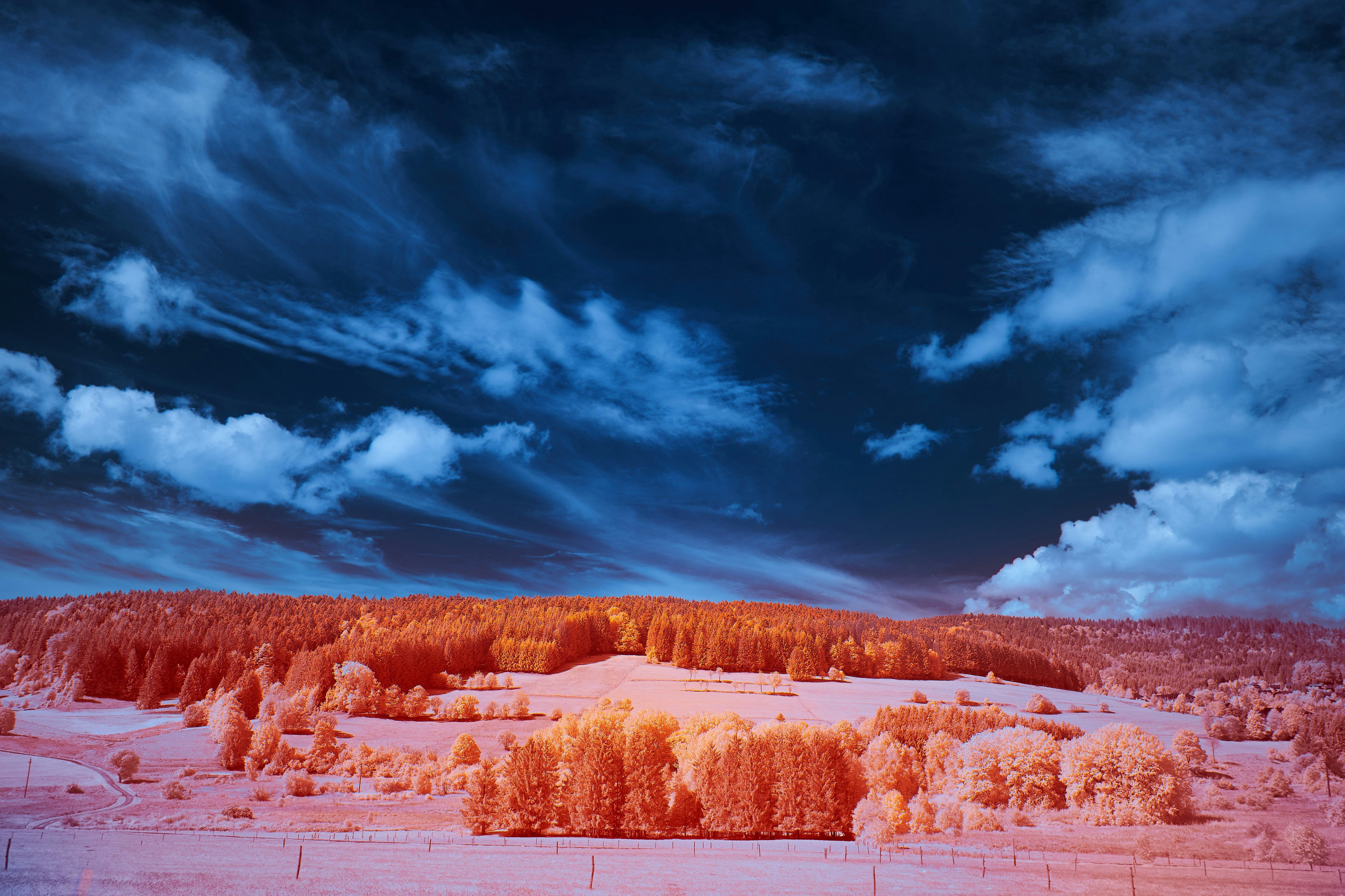 Photo by wolfgang_hasselmann