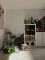 A cat playroom filled with scratching posts and climbing trees.
