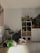 A cozy room with two cats near a colorful play tunnel and a cat tree, bathed in warm sunlight. A collection of potted plants is arranged on a white cabinet with cubbies, and some plants hang from the wall. The overall setting suggests a comfortable and pet-friendly environment.