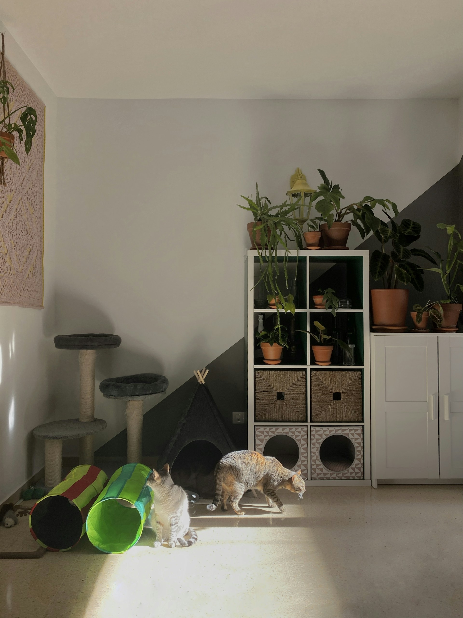 gray computer monitor