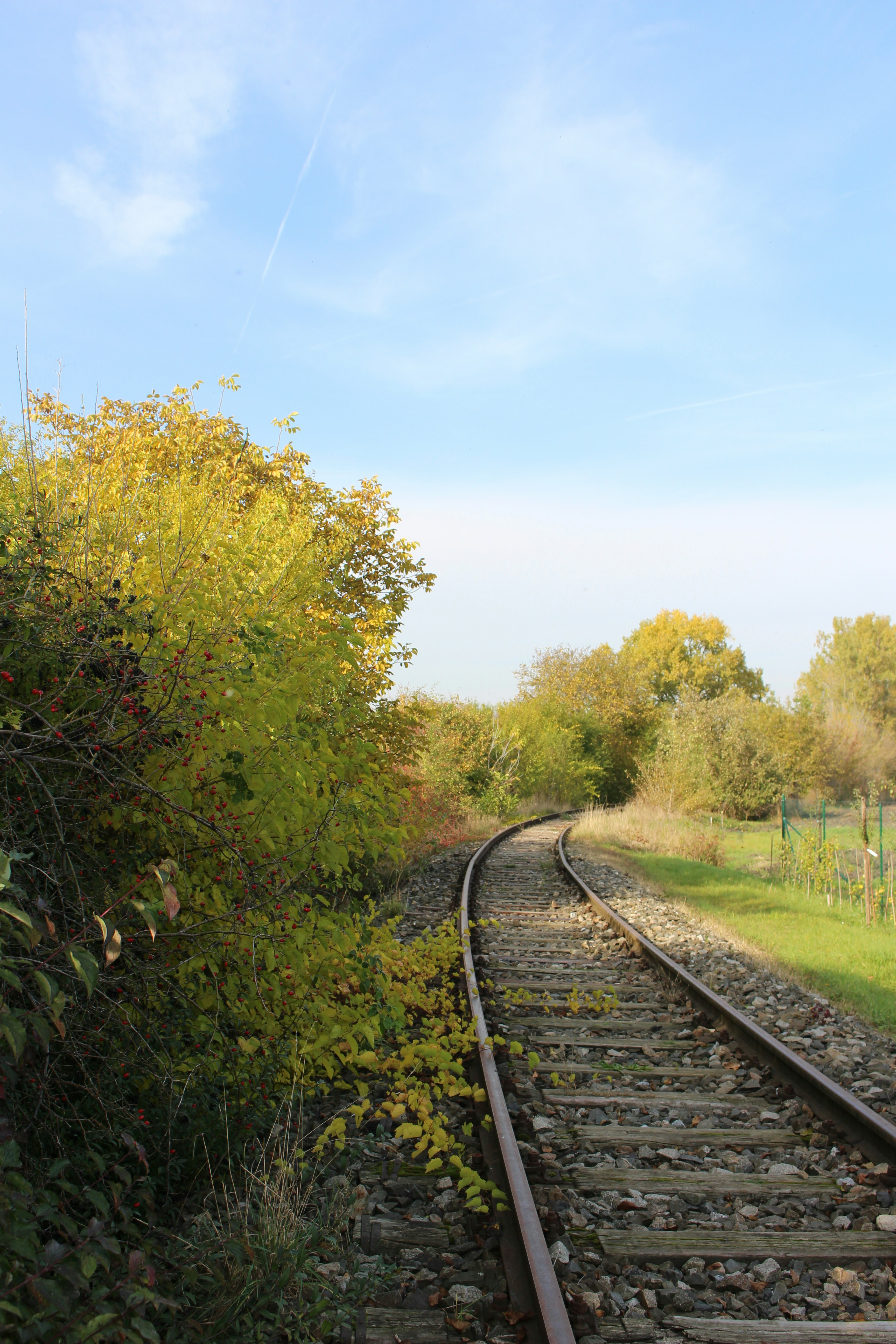 Photo by marjorylucabaxter