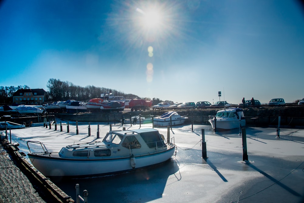 white and blue boat on dock during daytime