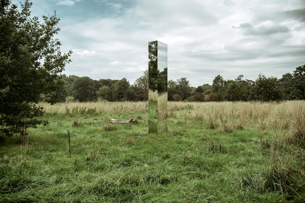 green grass field with trees and a black and white cross