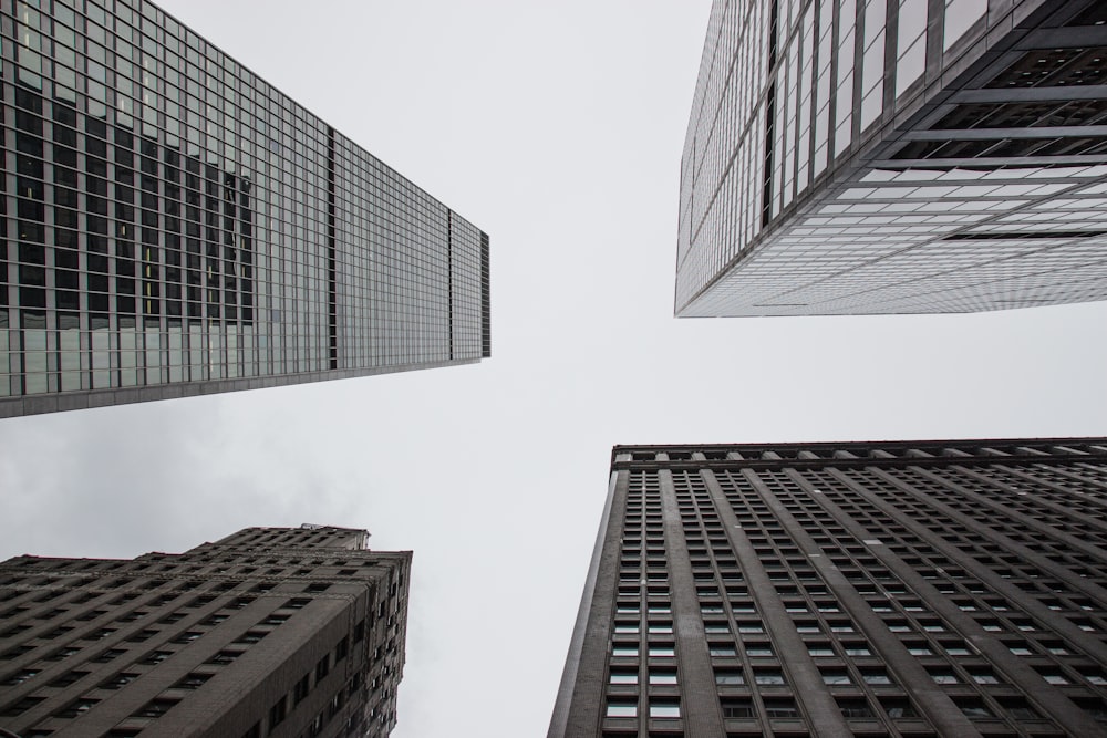 Fotografía de ángulo bajo de edificios de gran altura