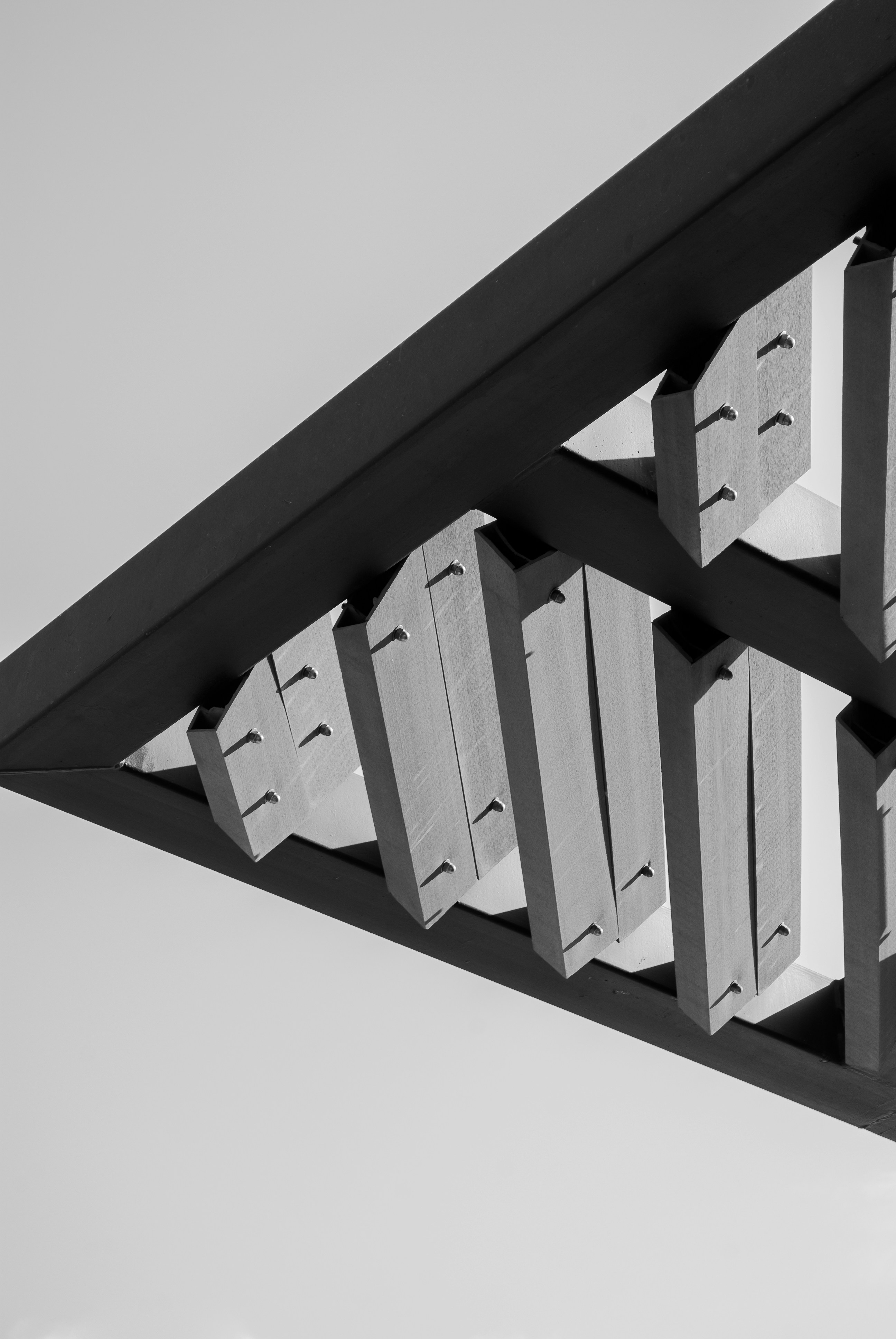 Photo by samuel_figueroaa