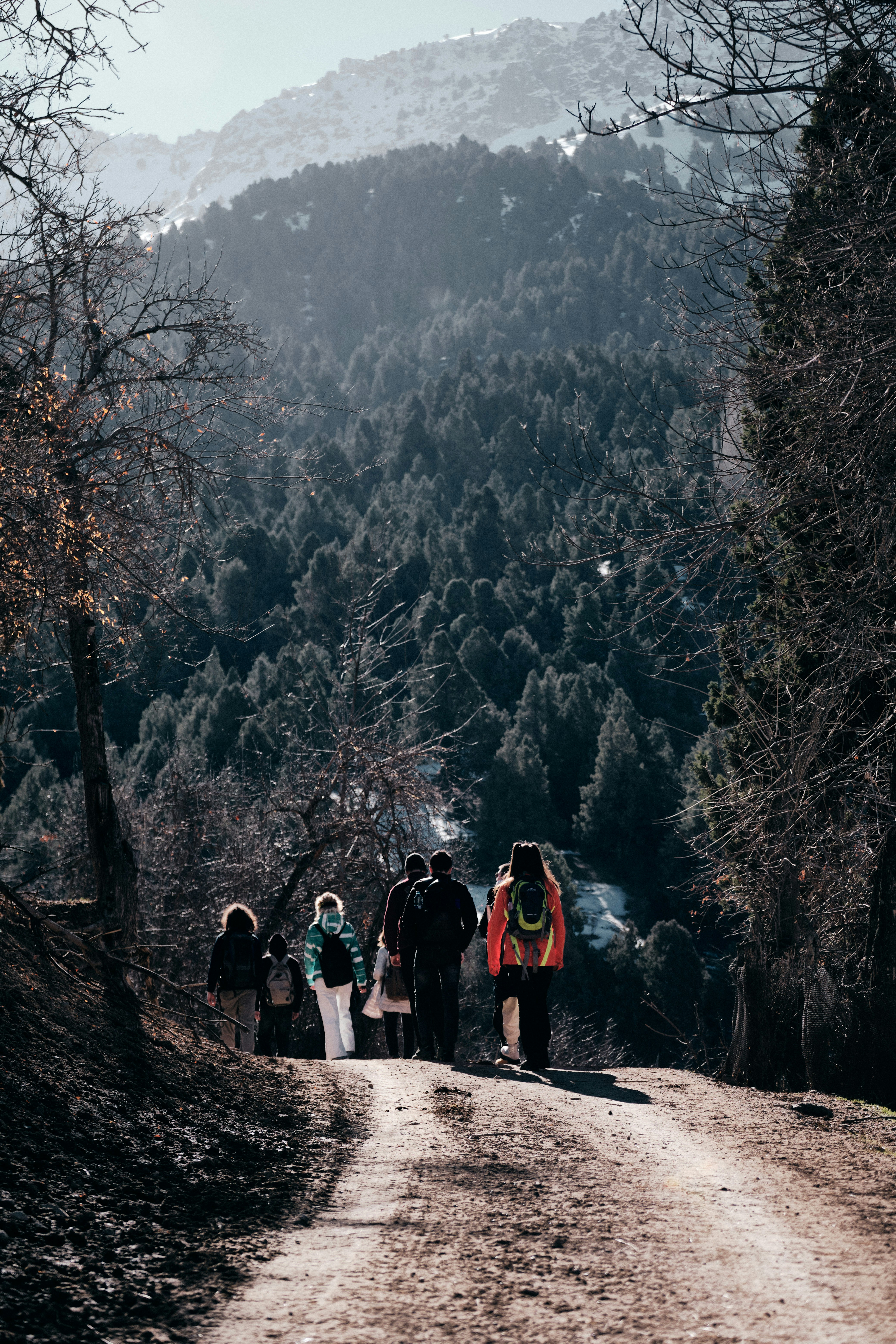 Photo by umid_akbarov