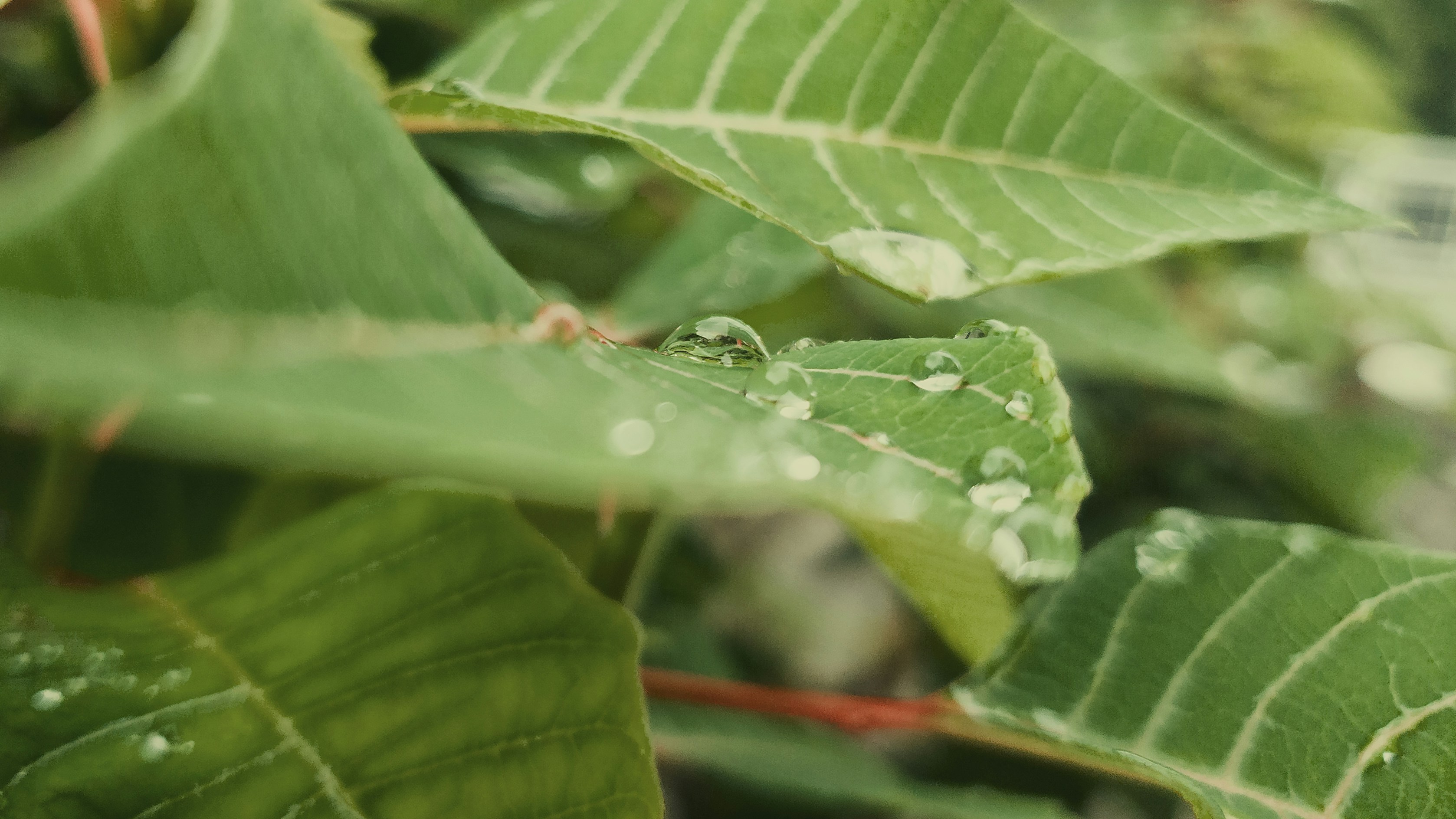 Photo by jejecreativa