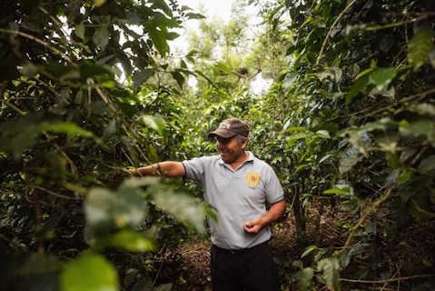 cafés especiais do sul de minas e serra da mantiqueira