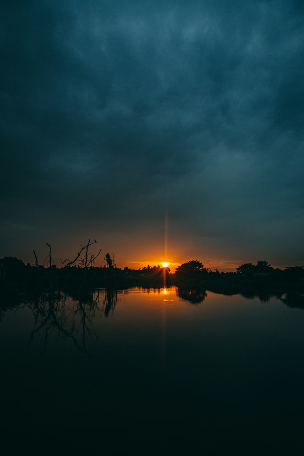 silhouette of trees near body of water during sunset