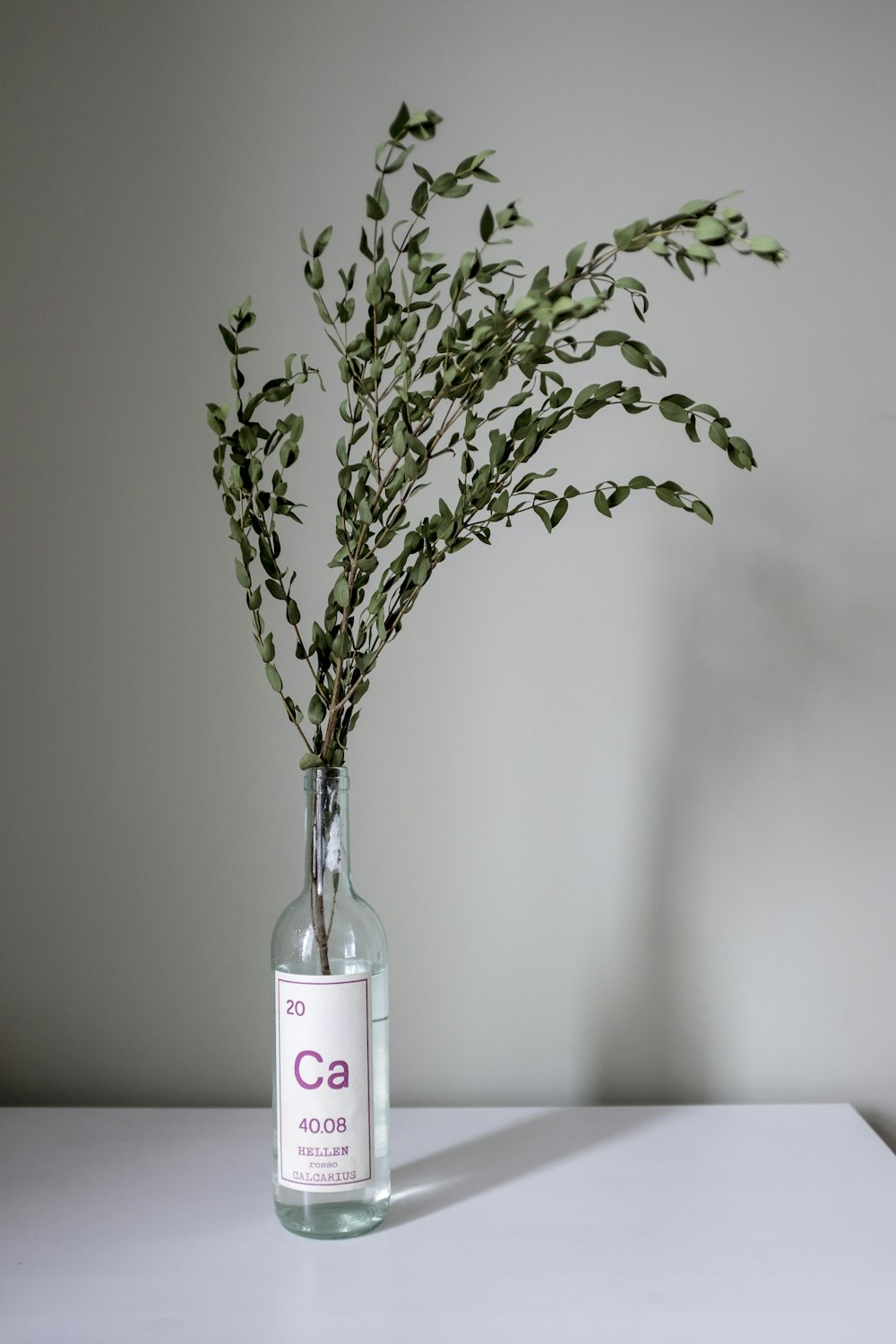 green plant in clear glass bottle