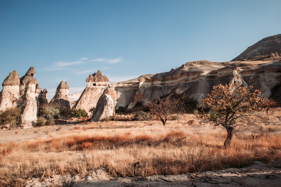 brown grass field near brown rock formation under blue sky during daytime