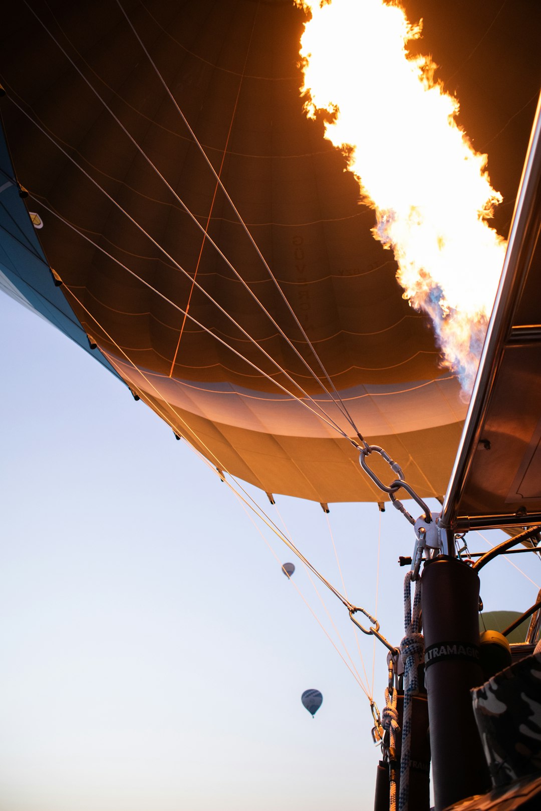 black and white hot air balloon