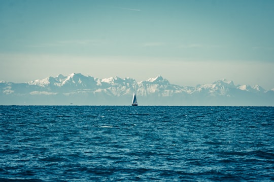 sailboat on sea during daytime in Izola Slovenia