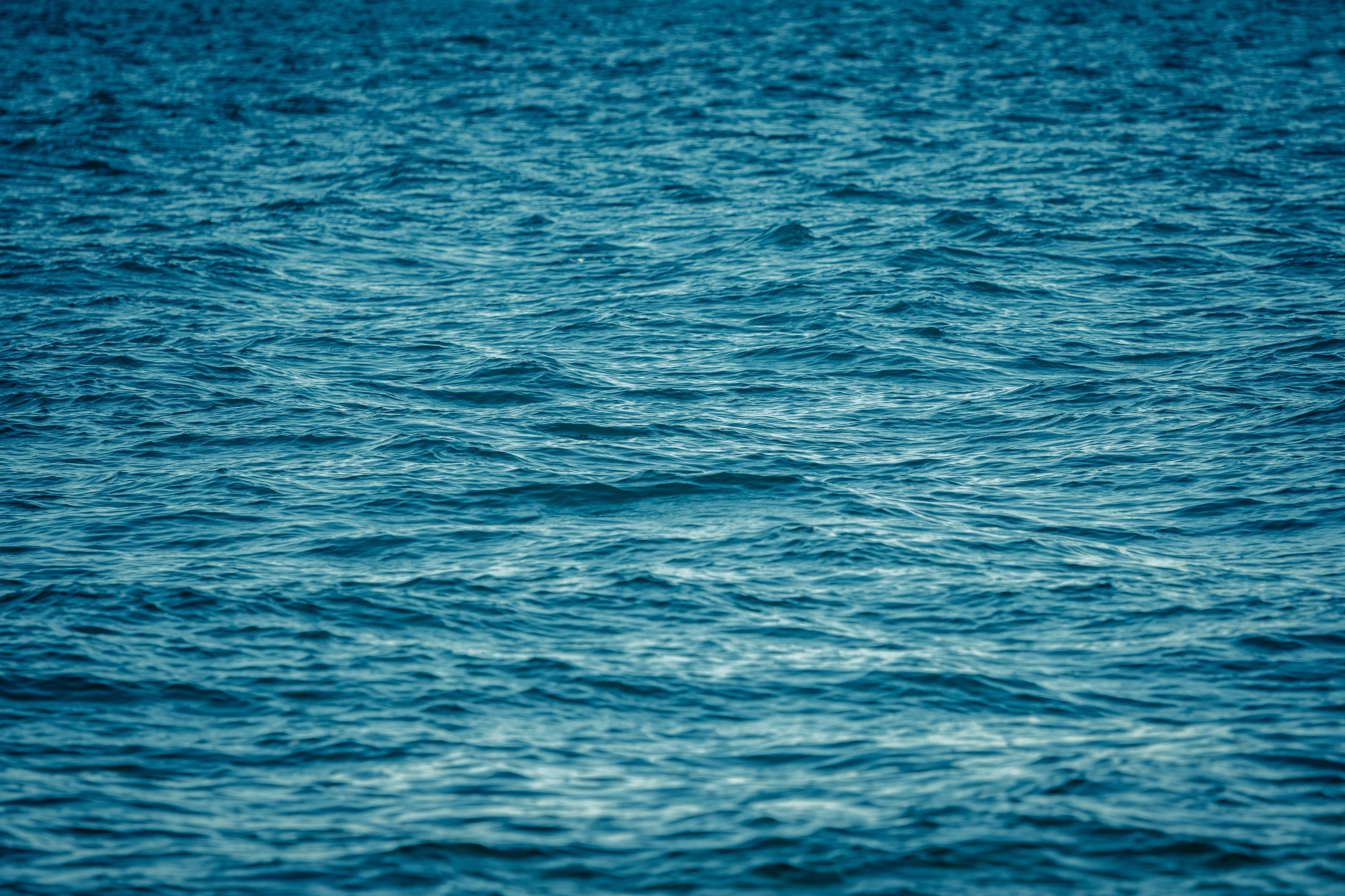 Izola – Budgeting & Cost Expectations