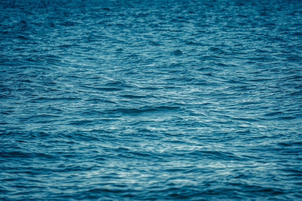 Eau de mer bleue pendant la journée