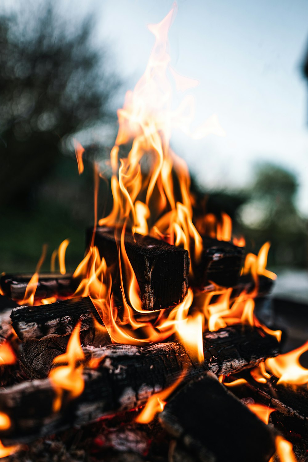 fogo em chamas na madeira marrom