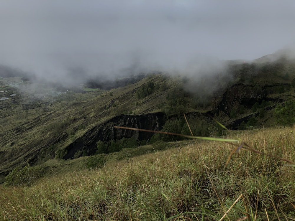 green grass field on mountain