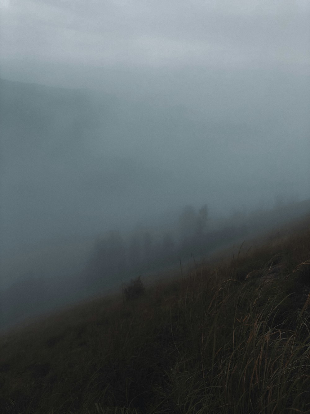 brown grass field covered with fog