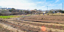 A community garden in Toronto with volunteers turning compost piles under a bright sky.