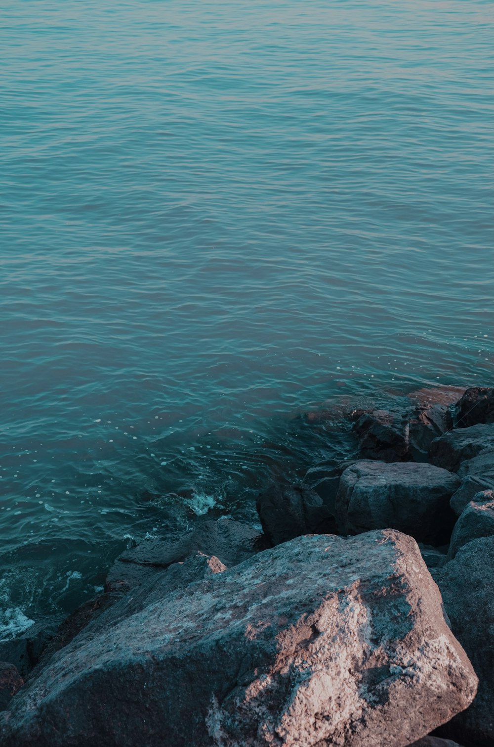 gray rocky shore during daytime