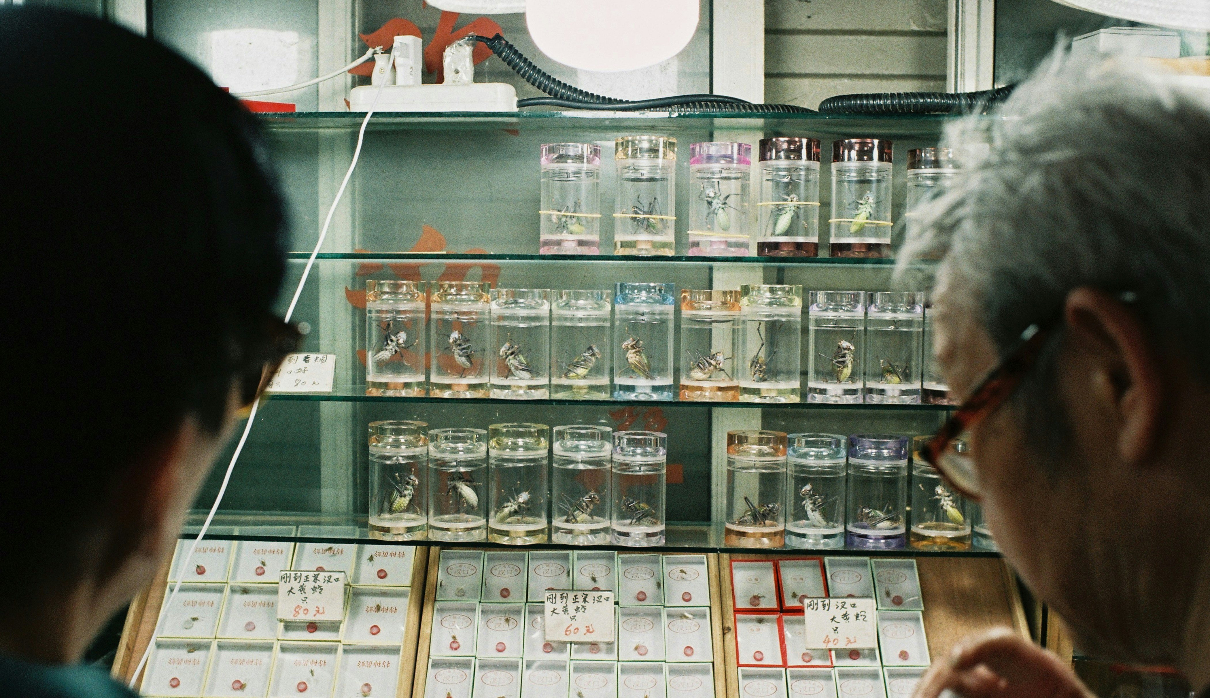 Bugün öğrendim ki: Mel Gibson Coen...