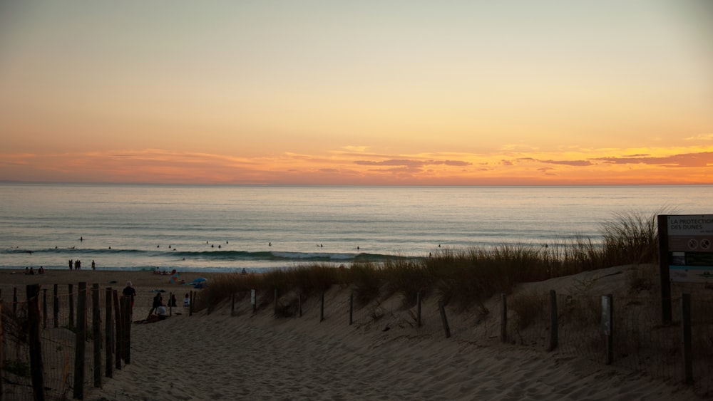 body of water during sunset