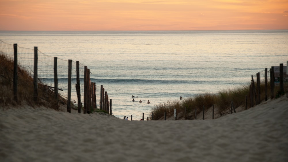 brown wooden fence on seashore during daytime