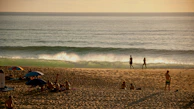 people on beach during daytime